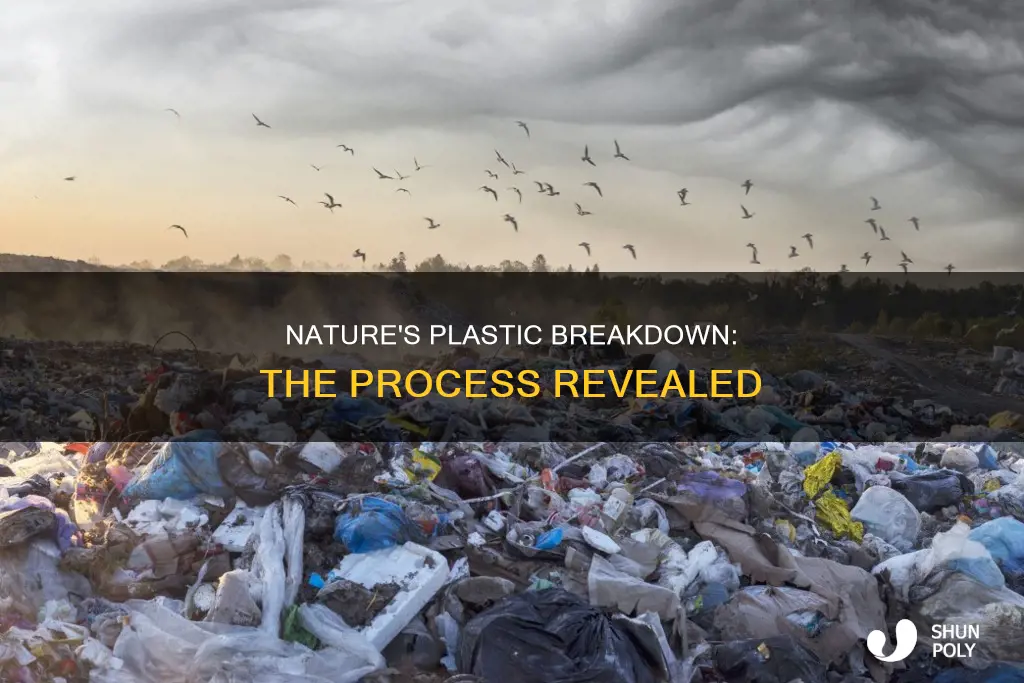how does nature break down plastic