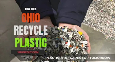 Ohio's Plastic Recycling Journey: A Green Revolution