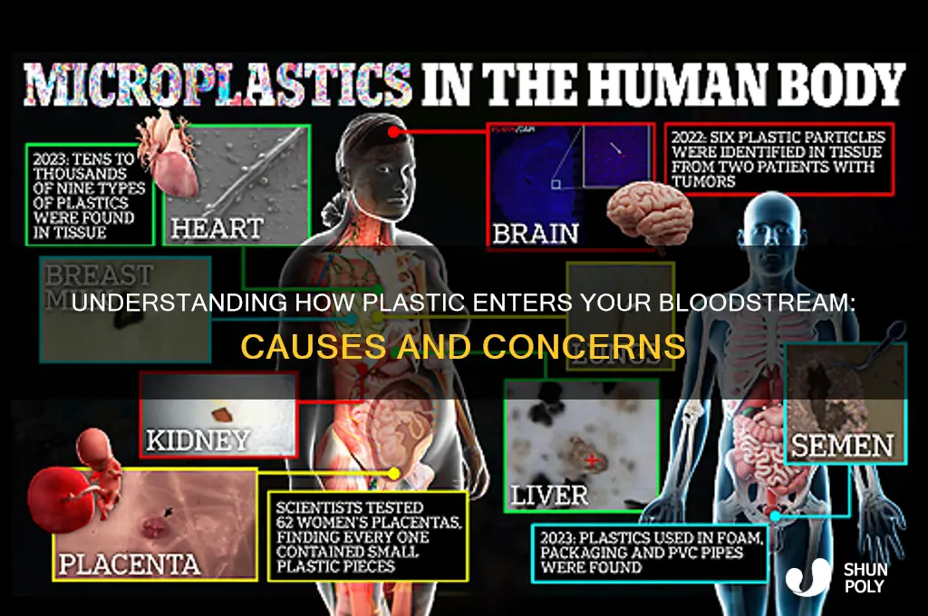 how does one get plastic on there blood