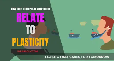 Perceptual Adaptation: Brain Plasticity and Our Senses