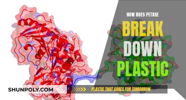 PETase: Plastic-Eating Enzyme Revolution