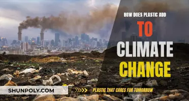 Plastic's Climate Impact: A Growing Environmental Concern