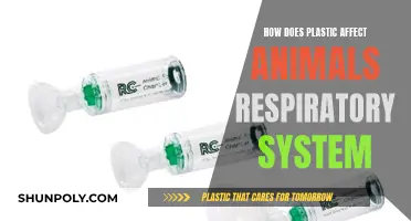 Plastic's Impact: Animals' Respiratory Systems