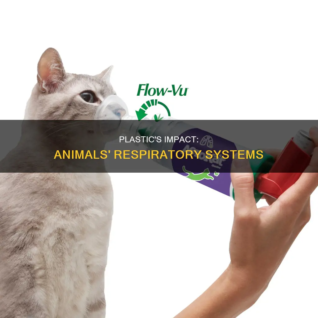 how does plastic affect animals respiratory system