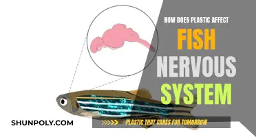 Plastic Pollution: Fish Nervous System Under Attack