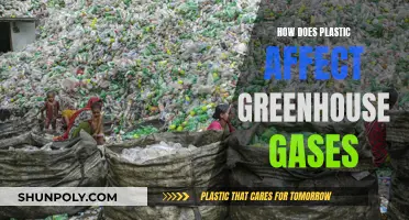 Plastic's Impact on Greenhouse Gases: Understanding the Connection