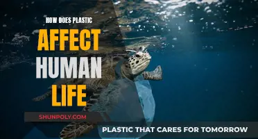 Plastic's Impact: Human Health and the Environment