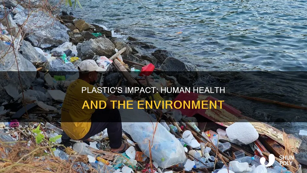 how does plastic affect human life