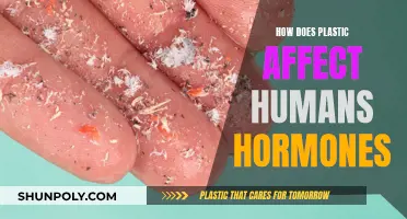 Plastic's Hormonal Havoc: Understanding the Human Impact