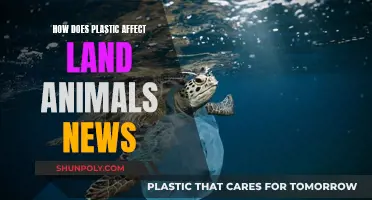 Plastic Pollution: Impact on Land Animals