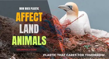Plastic's Impact: Land Animals Endangered