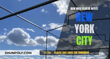 Plastic Pollution: NYC's Unseen Crisis
