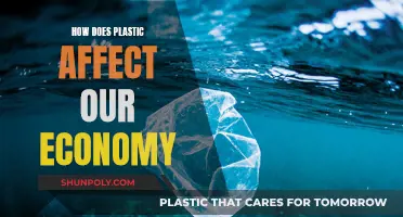 Plastic's Economic Impact: A Costly Affair