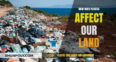 Plastic Pollution: Land Degradation and Its Impact
