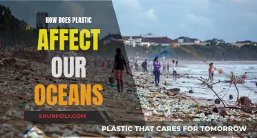 The Impact of Plastic on Our Oceans