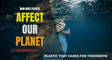 Plastic's Impact: Our Planet's Future