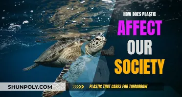 Plastic's Impact: Society's Dependence and Environmental Cost