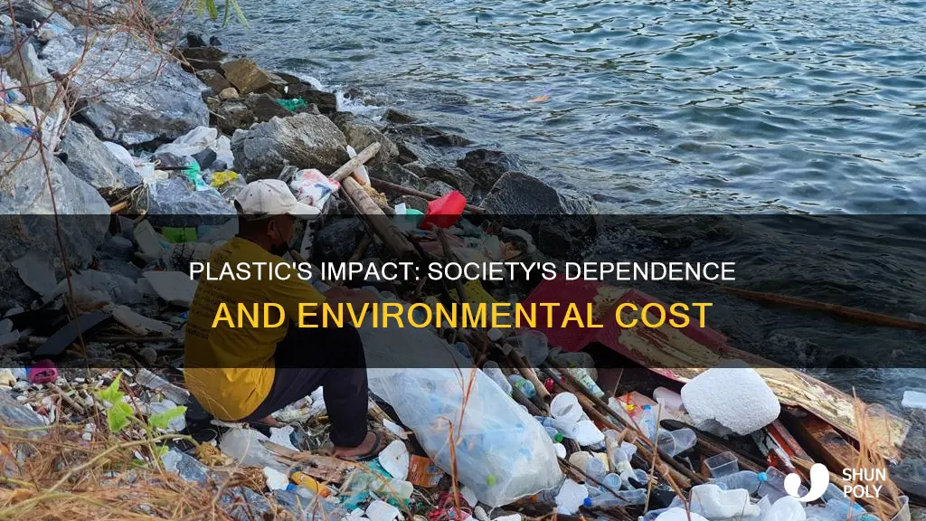 how does plastic affect our society