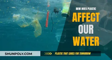 Plastic Pollution: Our Water's Deadly Threat