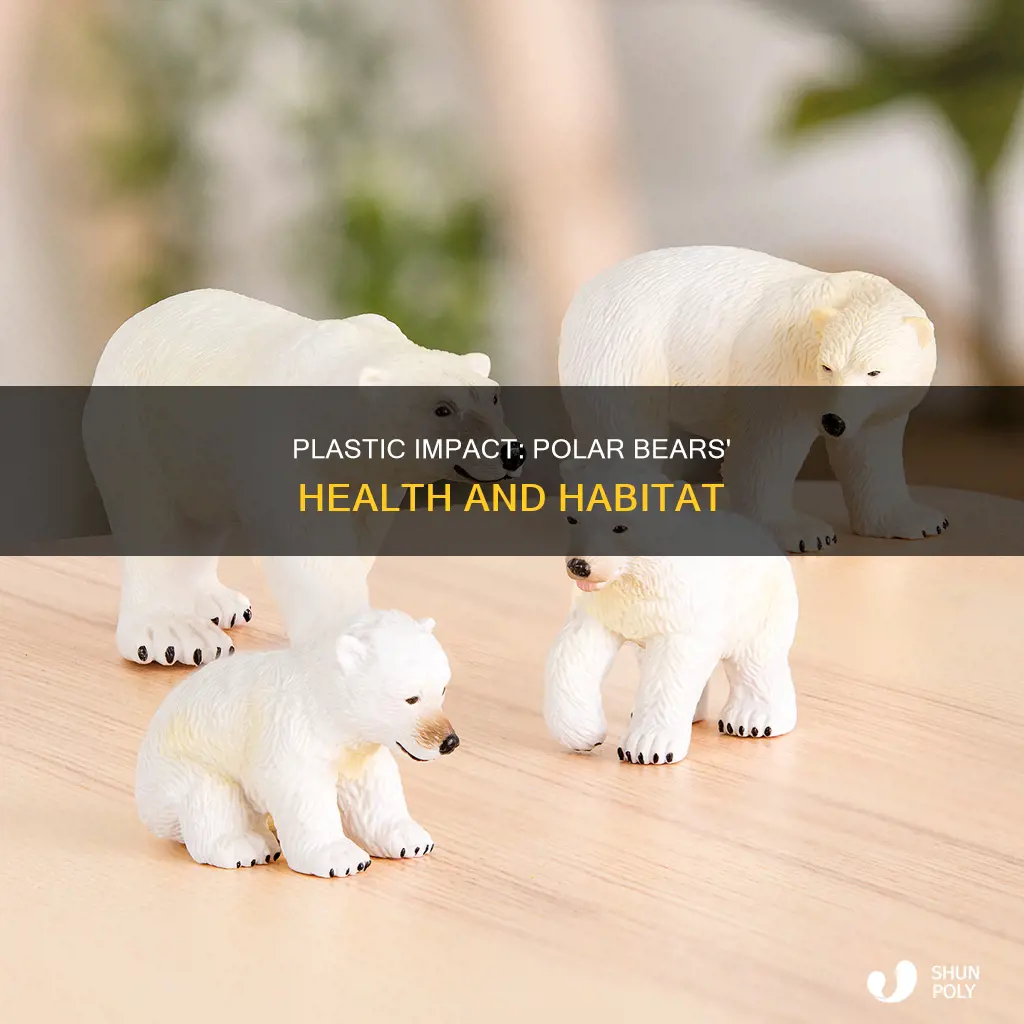 how does plastic affect polar bears
