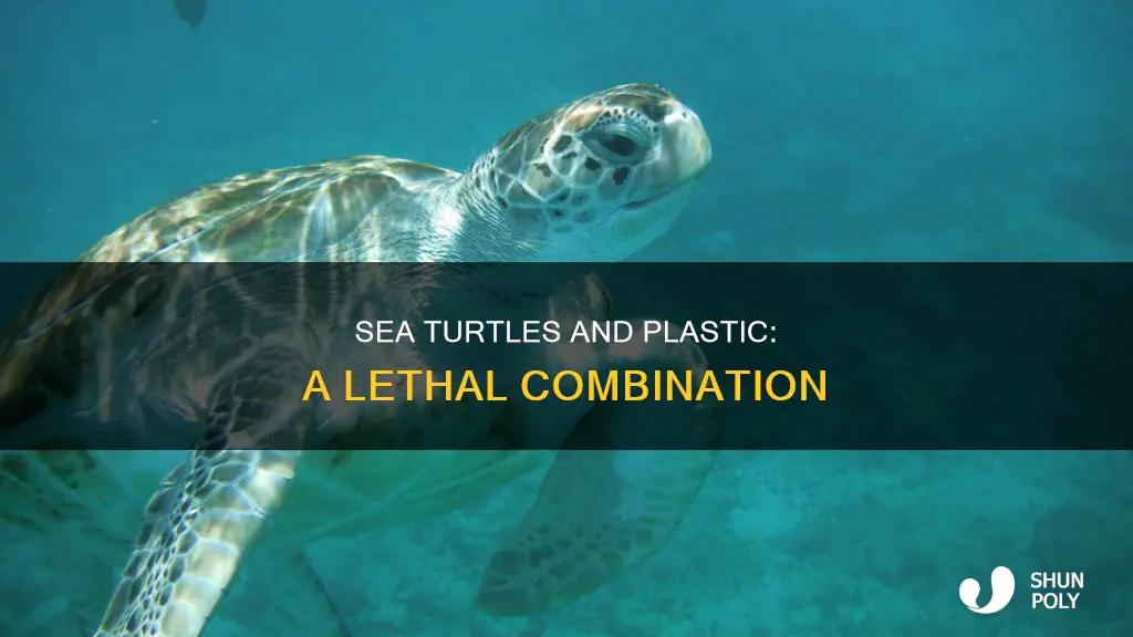 how does plastic affect sea turtles