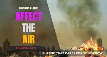 Plastic Pollution: Harming Air, Hurting Health