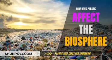 Plastic Pollution: Impacting the Biosphere