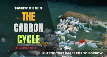 Plastic's Impact on the Carbon Cycle: A Complex Web
