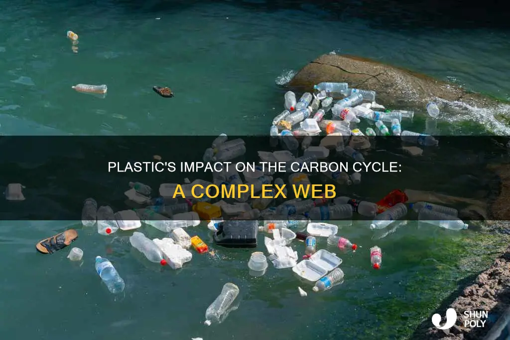how does plastic affect the carbon cycle