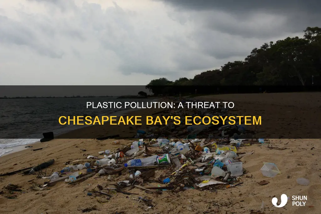how does plastic affect the chesapeake bay
