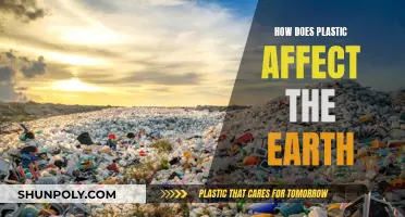 Plastic Pollution: Impacting Our Earth and Future