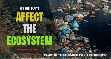 Plastic's Impact: Devastating Effects on Our Ecosystem