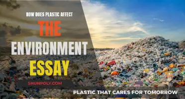 Plastic Pollution: Impacting Our Environment and Ecosystems
