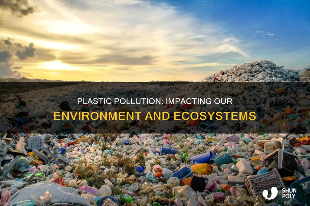 how does plastic affect the environment essay