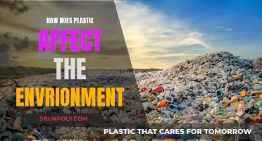 Plastic's Impact: Devastating Effects on Our Environment