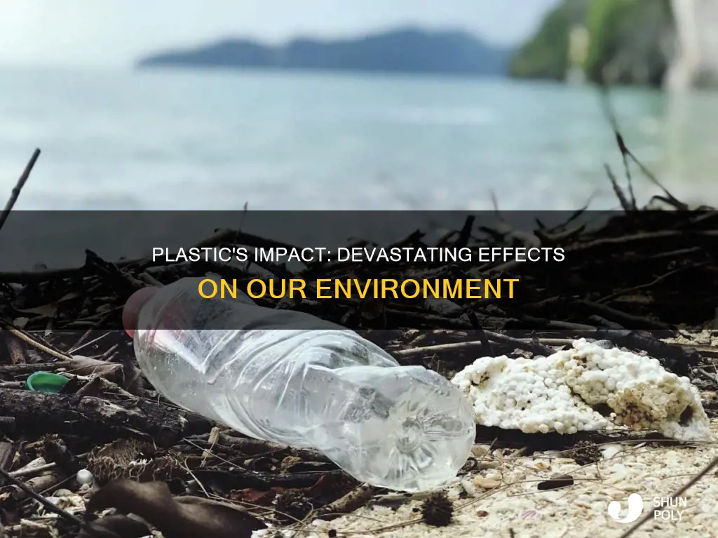 how does plastic affect the envrionment