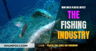 Plastic Pollution: Fishing Industry's Dark Secret