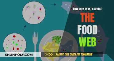 Plastic Pollution: Impact on Food Webs and Human Health