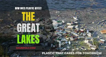 The Great Lakes: Plastic Pollution's Impact