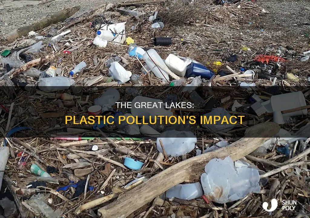 how does plastic affect the great lakes