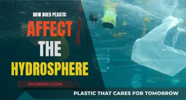 Plastic Pollution: Impact on the Hydrosphere