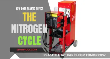 Plastic Pollution: Impact on the Nitrogen Cycle