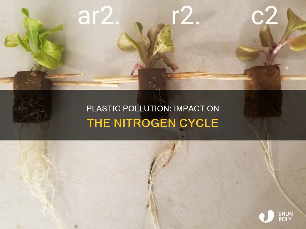 how does plastic affect the nitrogen cycle