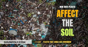 Plastic's Impact: Soil Contamination and Environmental Harm