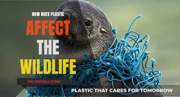 Plastic Pollution: Devastating Impact on Wildlife