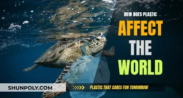 Plastic's Impact: Devastating Effects on Our World