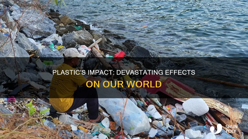 how does plastic affect the world