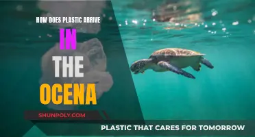 The Plastic Problem: Ocean's Journey