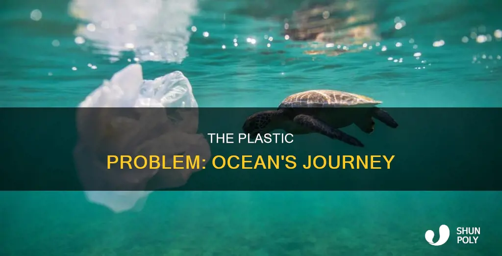 how does plastic arrive in the ocena