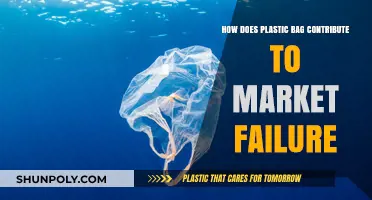 Plastic Bags: A Hidden Driver of Market Failure and Environmental Costs